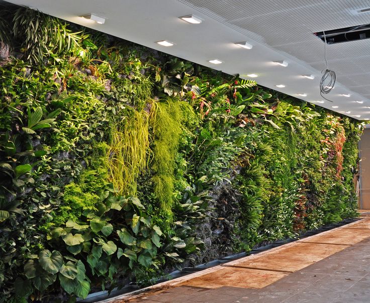 Design Ideas for Outdoor Artificial Vertical Green Walls